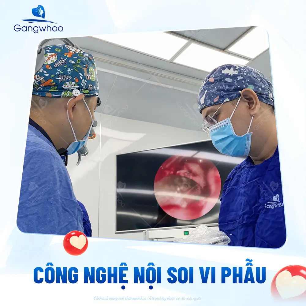 Đánh giá cơ địa và áp dụng kỹ thuật nội soi vi phẫu vào nâng mũi