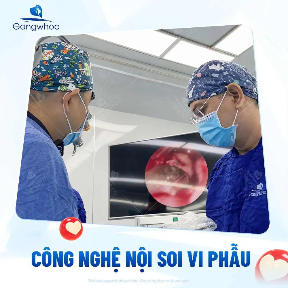 Ưu tiên kỹ thuật an toàn và vật liệu sụn chất lượng
