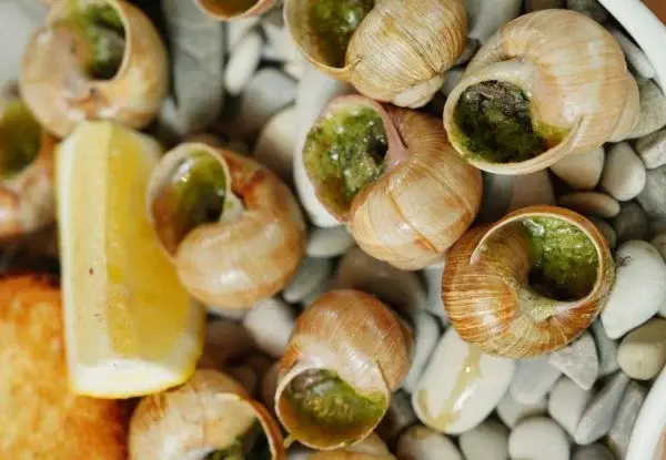 Nâng mũi ăn ốc được không?