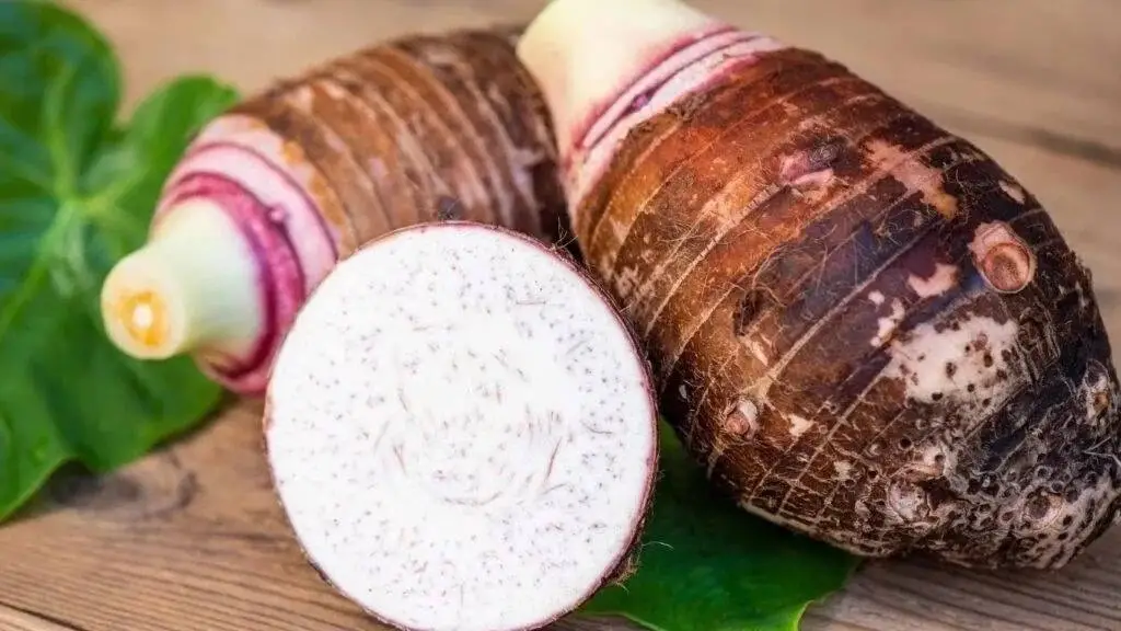 Nâng Mũi Có Ăn Khoai Môn Được Không? Bao Lâu Thì Ăn Lại An Toàn?