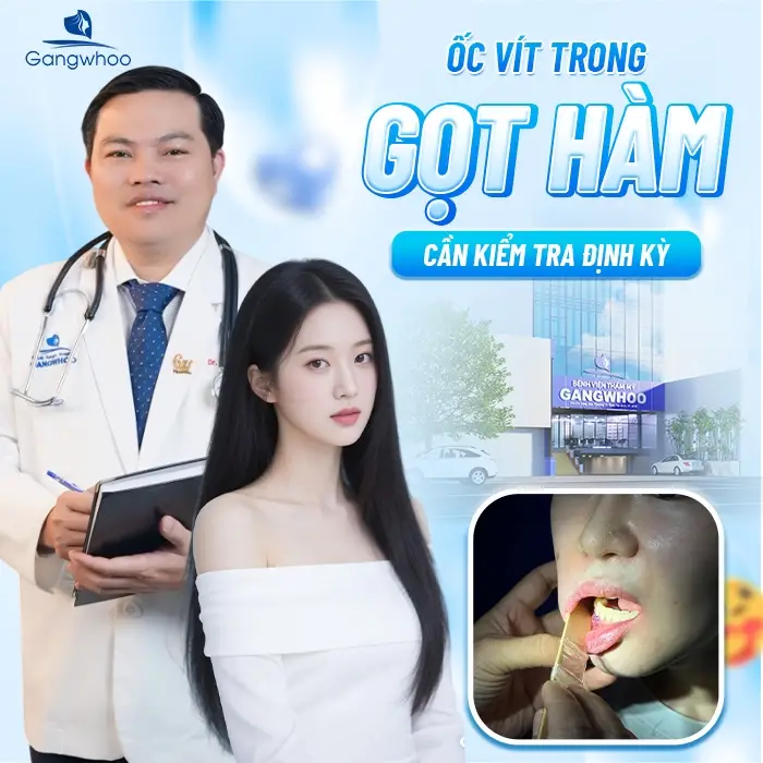 Ốc vít trong gọt hàm cần kiểm tra định kỳ