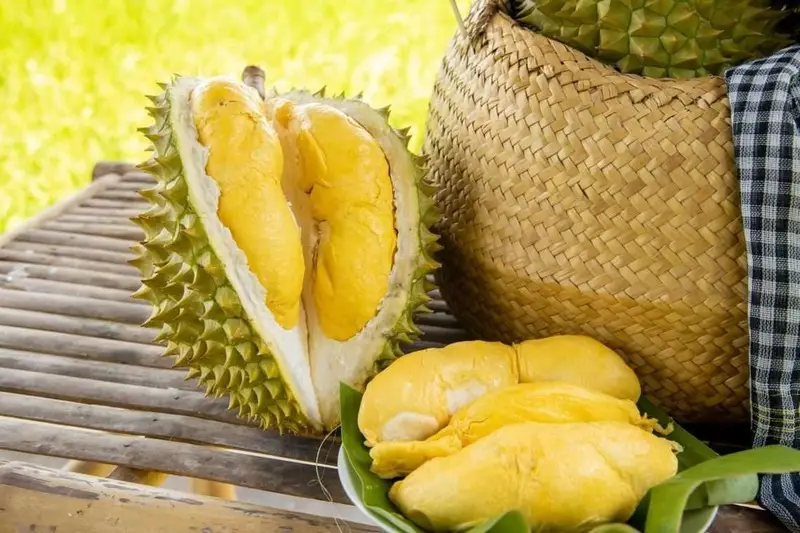 Nâng mũi ăn sầu riêng được không?